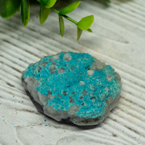 Small Turquoise on Quartz #3