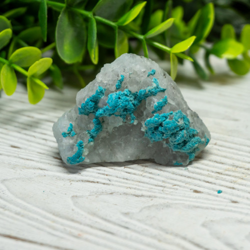 Small Turquoise on Quartz #1