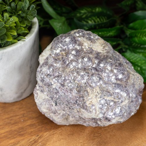 Large Raw Botryoidal Lepidolite on Quartz #4