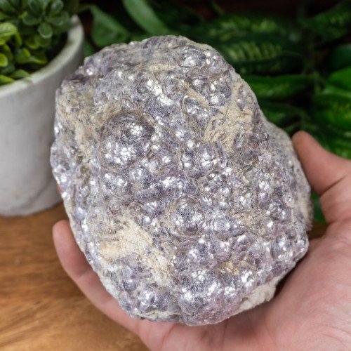 Large Raw Botryoidal Lepidolite on Quartz #4