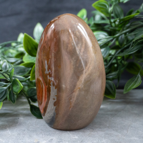 Polychrome Jasper Medium Freeform