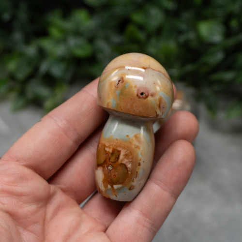 Polychrome Jasper Small Mushroom