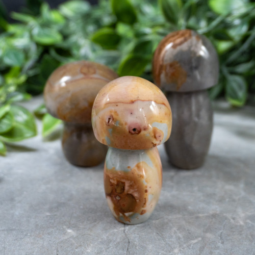 Polychrome Jasper Small Mushroom