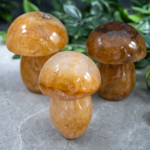 Golden Healer Quartz Medium Mushroom