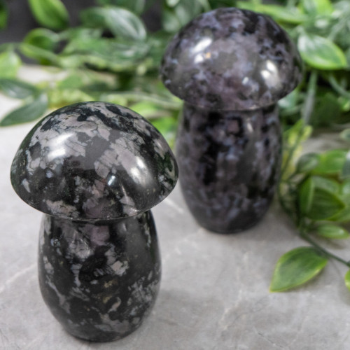 Mystic Merlinite Medium Mushroom