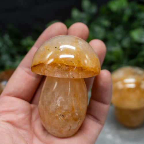 Golden Healer Quartz Medium Mushroom