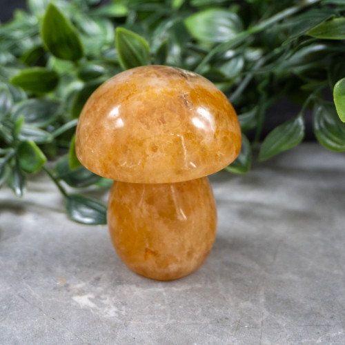 Golden Healer Quartz Medium Mushroom