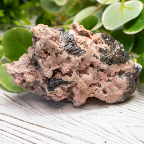 XL Rhodochrosite with Galena