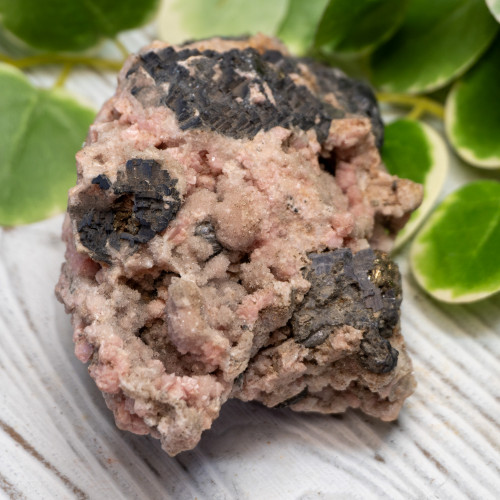 XL Rhodochrosite with Galena