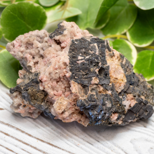 XL Rhodochrosite with Galena