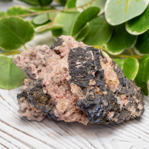 XL Rhodochrosite with Galena