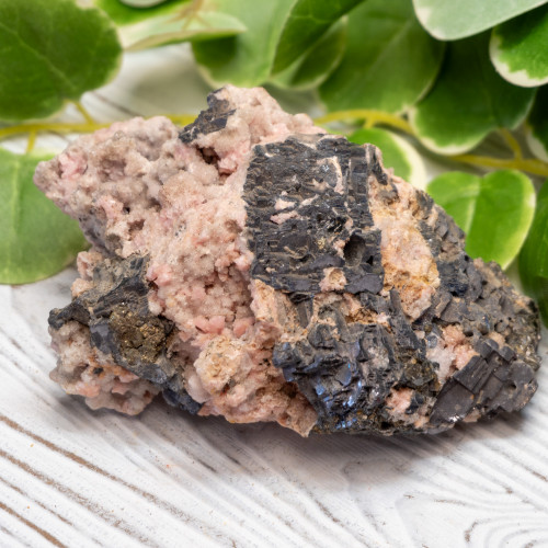 XL Rhodochrosite with Galena