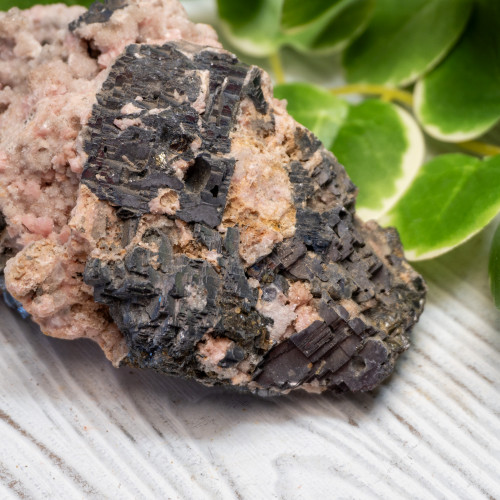 XL Rhodochrosite with Galena