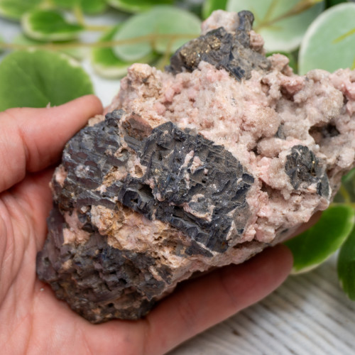 XL Rhodochrosite with Galena