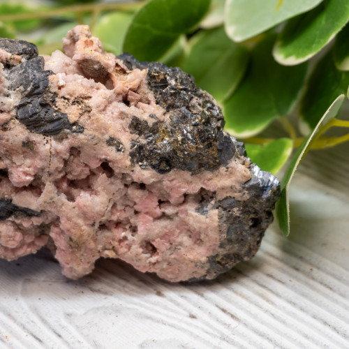 XL Rhodochrosite with Galena