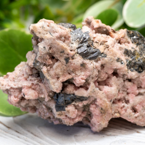 XL Rhodochrosite with Galena