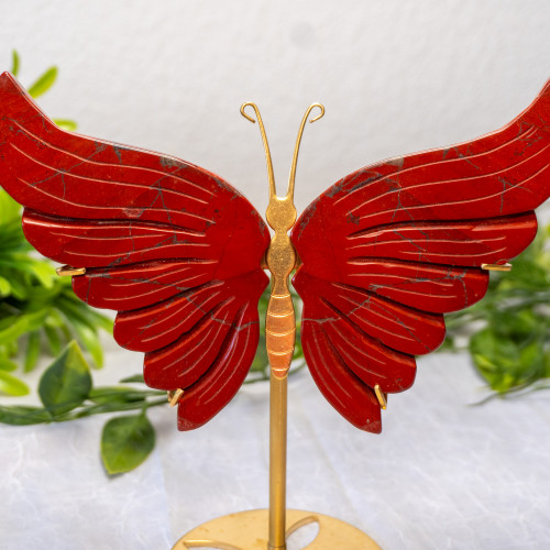 Red Jasper Medium Butterfly