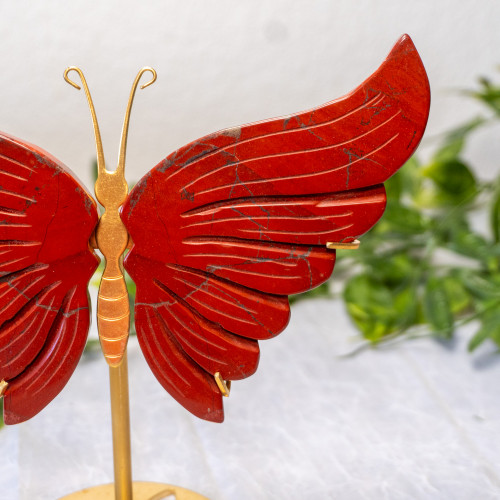 Red Jasper Medium Butterfly