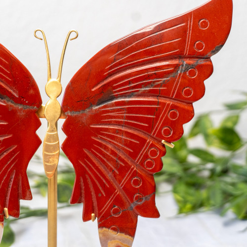 Red Jasper Large Butterfly