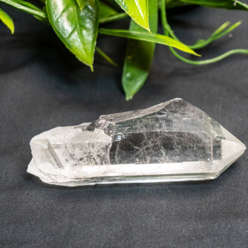 Himalayan Quartz Medium #6