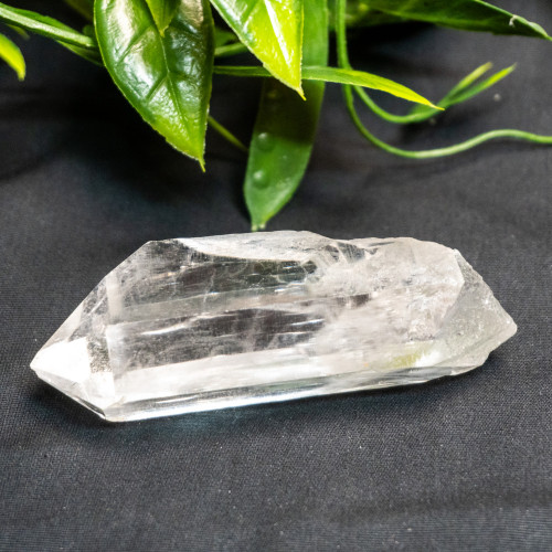 Himalayan Quartz Medium #6