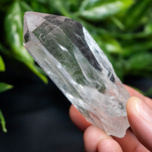 Himalayan Quartz Medium #6