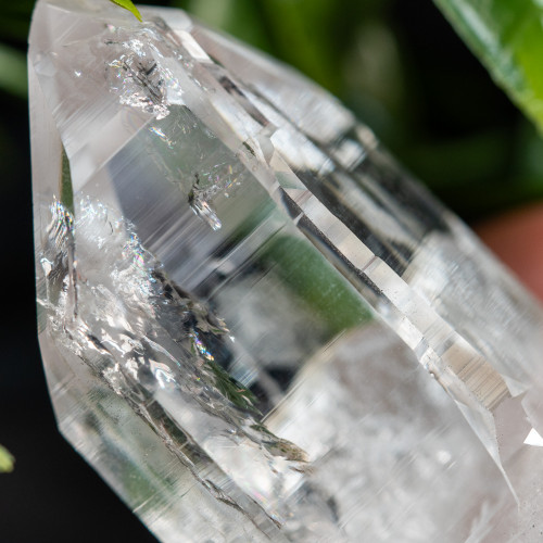 Himalayan Quartz Medium #4