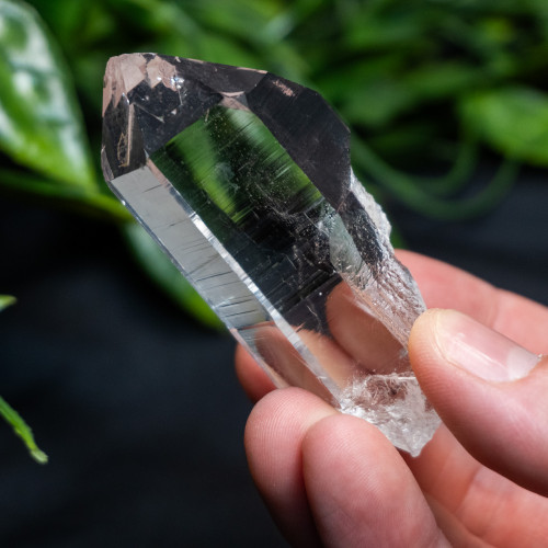 Himalayan Quartz Medium #1