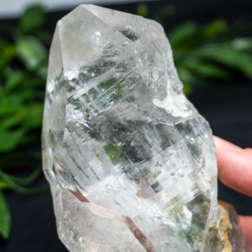 Himalayan Quartz Large #15