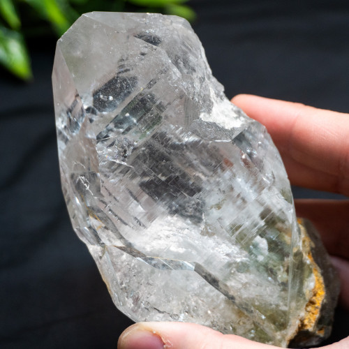 Himalayan Quartz Large #15