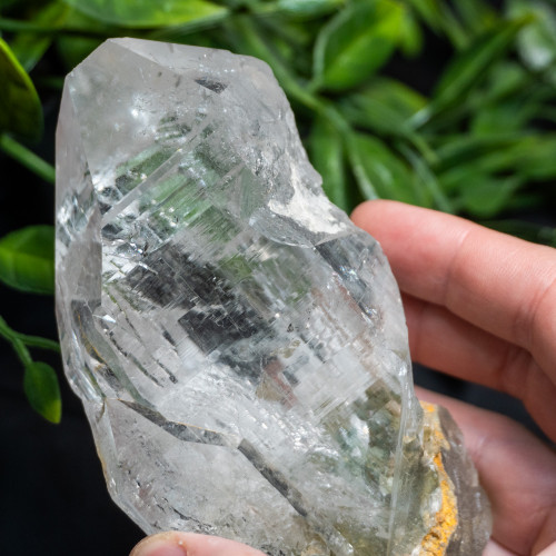 Himalayan Quartz Large #15