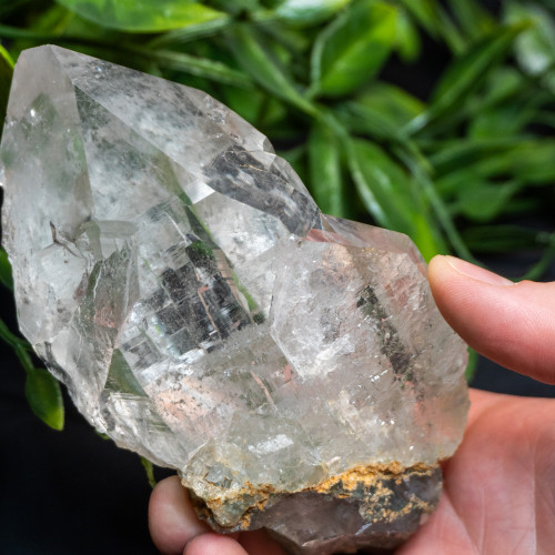 Himalayan Quartz Large #15