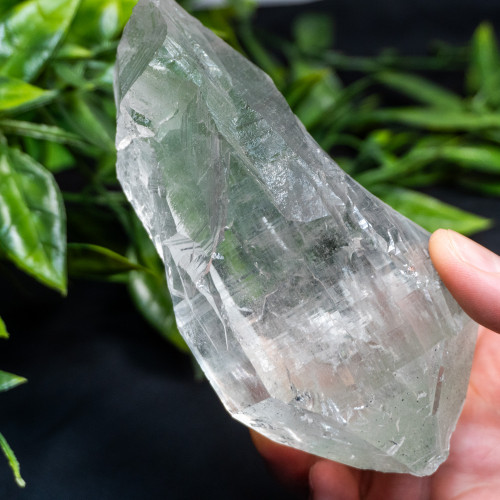 Himalayan Quartz Large #12