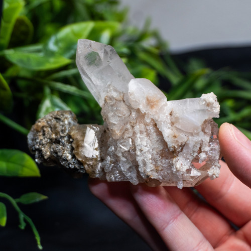 Himalayan Quartz Large #10