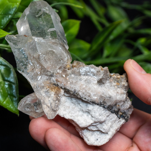 Himalayan Quartz Large #11