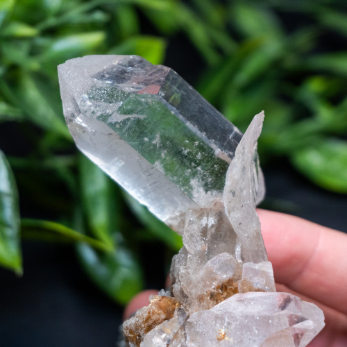 Himalayan Quartz Large #11