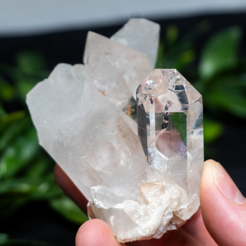 Himalayan Quartz Large #8