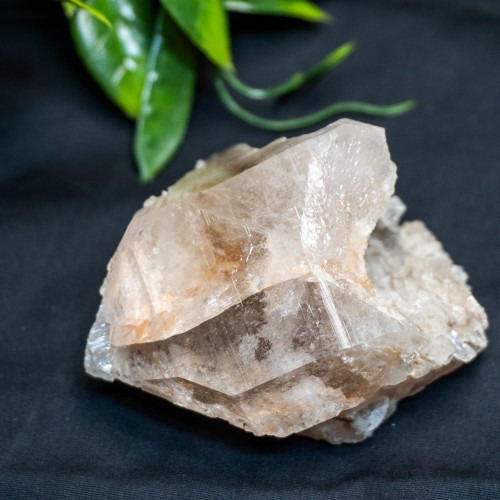 Himalayan Quartz Large #6