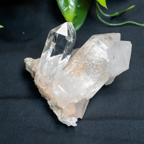 Himalayan Quartz Large #8