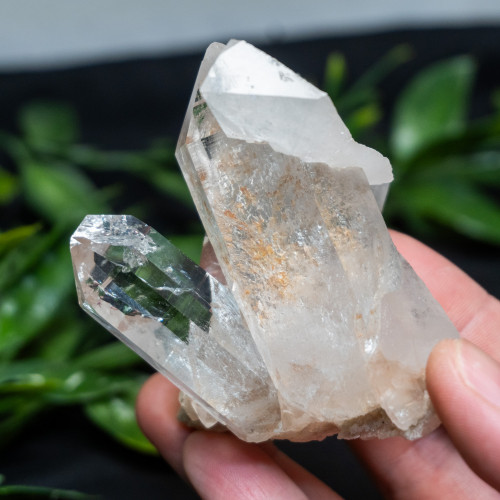 Himalayan Quartz Large #8