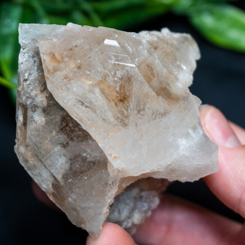 Himalayan Quartz Large #6