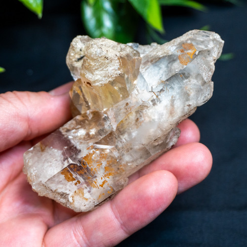 Himalayan Quartz Large #7