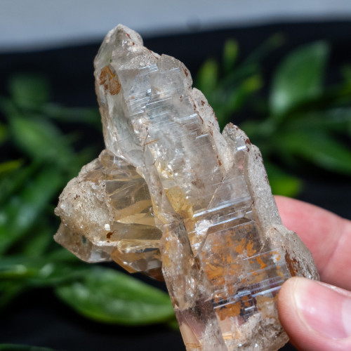 Himalayan Quartz Large #7