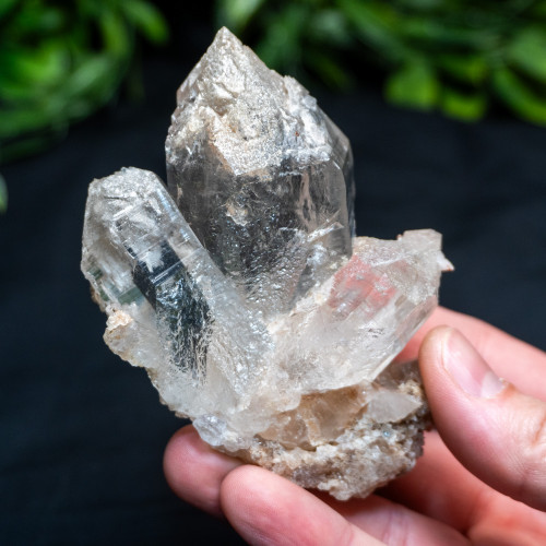 Himalayan Quartz Large #1