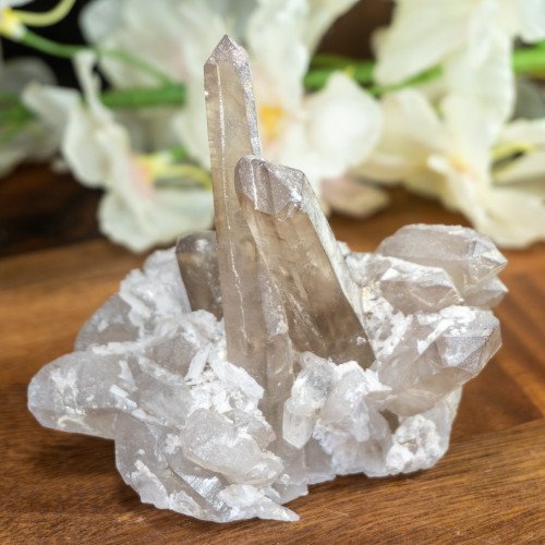Madagascar Smoky Quartz Family #5