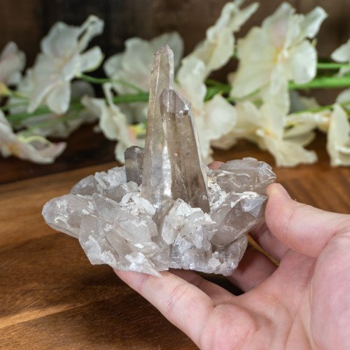 Madagascar Smoky Quartz Family #5