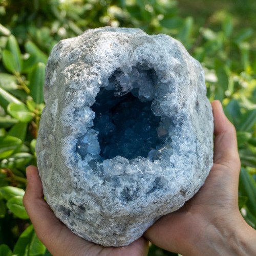 XL Celestite Geode