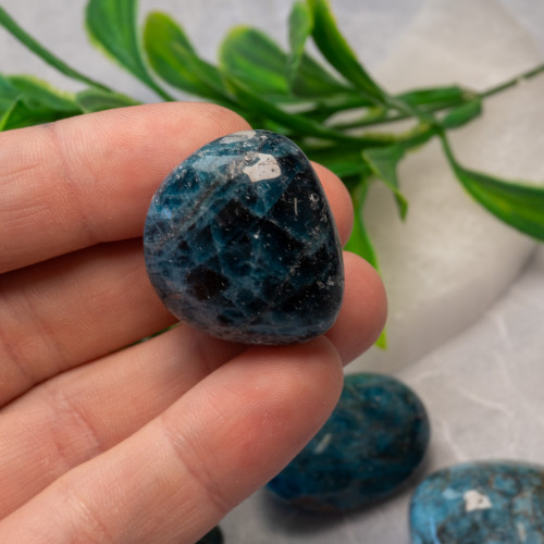 XL Blue Apatite Tumbled