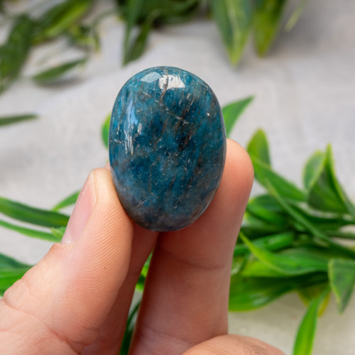 XL Blue Apatite Tumbled