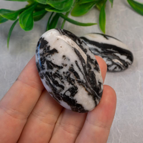 Zebra Jasper Palmstone